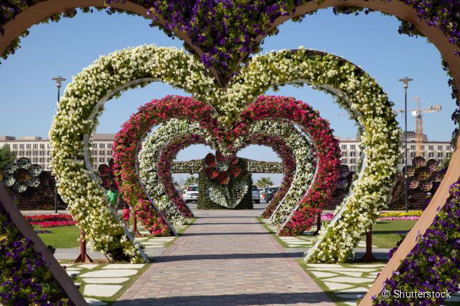 Com 45 milhões de flores o Miracle Gardens é o maior jardim de flores naturais do mundo, mesmo sendo localizado no deserto