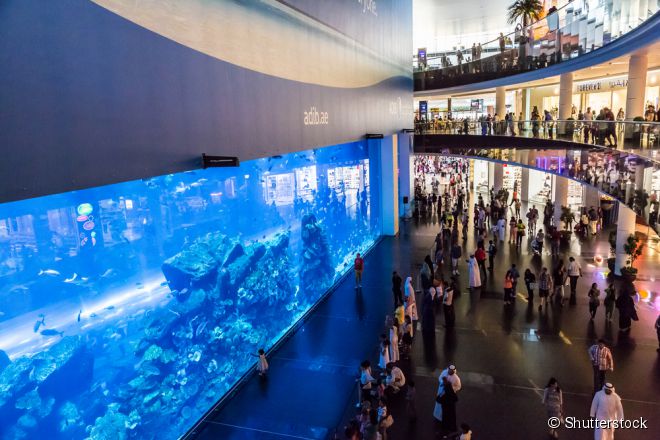 O Dubai Mall possui um dos maiores aquários do planeta, com mais de 33 mil animais marinhos