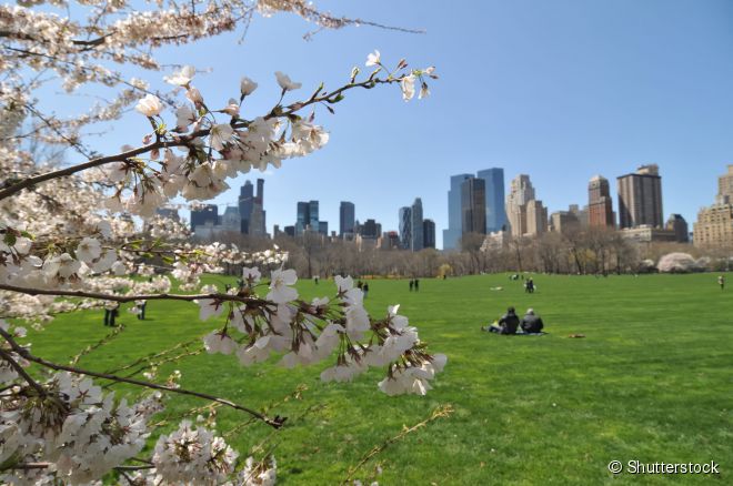 Central Park: o branco do inverno dá lugar ao verde e ao colorido da primavera