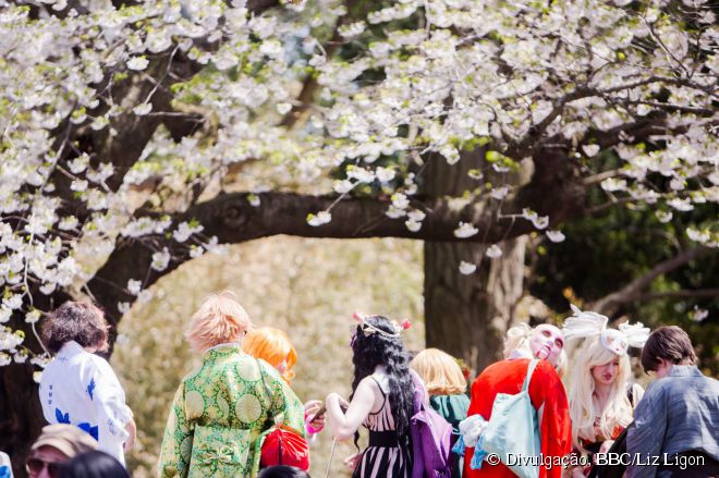 O evento Cherry Blossom Festival é uma homenagem à cultura japonesa