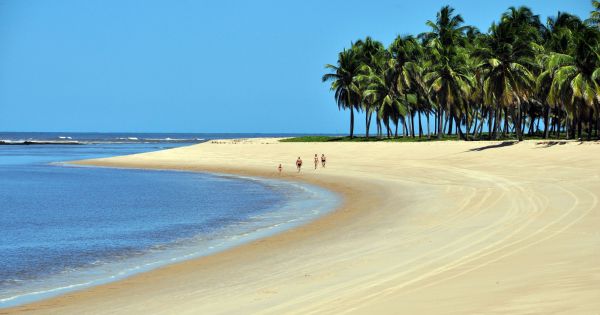 Turismo em Alagoas: 10 praias para mergulhar no estado - Pureviagem.com.br