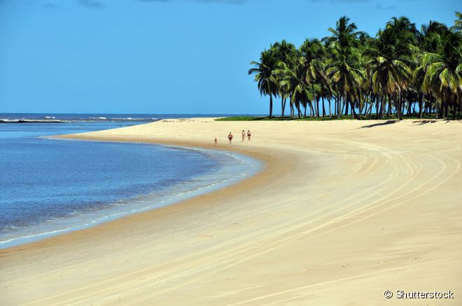 A praia do Gunga fica na costa sul de Alagoas, a 33 quilômetros da capital Maceió